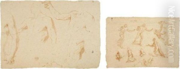 Studies For A Figure Of Apollo Oil Painting by Andrea Sacchi