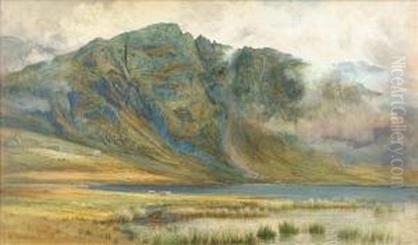 Cattlegrazing In An Extensive Loch Landscape Oil Painting by John Cuthbert Salmon
