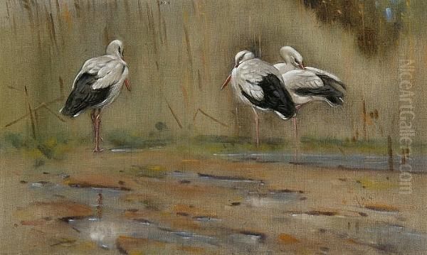 Storks By The Nile Oil Painting by Allen William Seaby