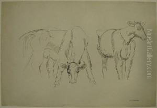 Two Cows Oil Painting by William Sommer
