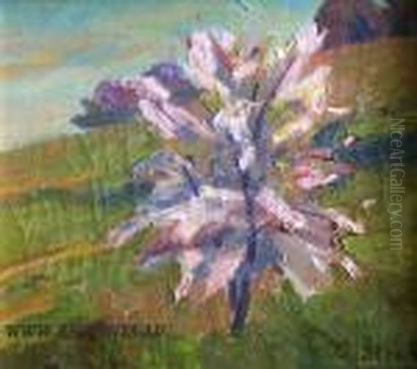 Blooming Cherry - Tree Oil Painting by Aleksandrs Strals