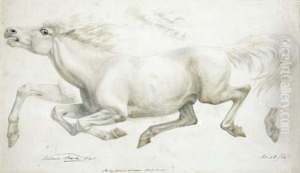 Twice Oil Painting by William Strutt