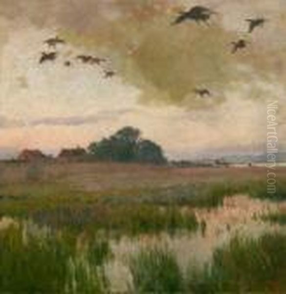 Aulandschaft Mit Enten Oil Painting by Heinrich Tomec