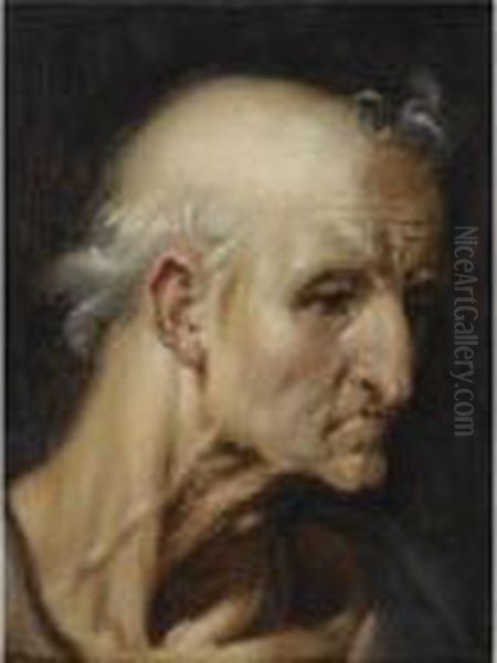 Study Of The Head Of An Old Man Oil Painting by Cornelis Cornelisz Van Haarlem