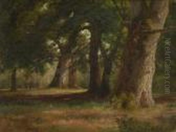 Eichenwald. Oil Painting by Paul Weber