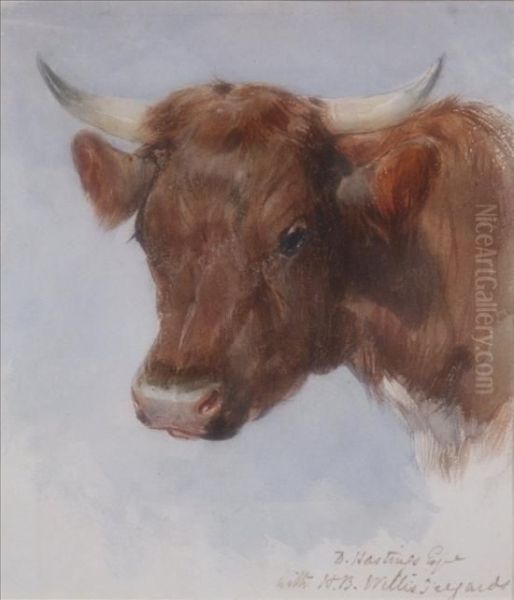 Study Of A Cows Head Oil Painting by Henry Brittan Willis
