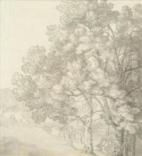 Abbot Stags On The Edgeof A Wood Oil Painting by John White Abbott