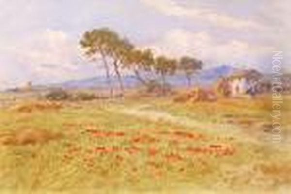 Campagna Romana Oil Painting by Filippo Anivitti