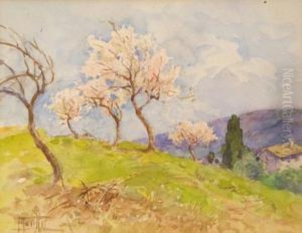 Paesaggio Di Campagna Con Alberi Di Pesco Oil Painting by Filippo Anivitti