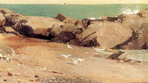 Rocky Coast and Gulls Oil Painting by Winslow Homer