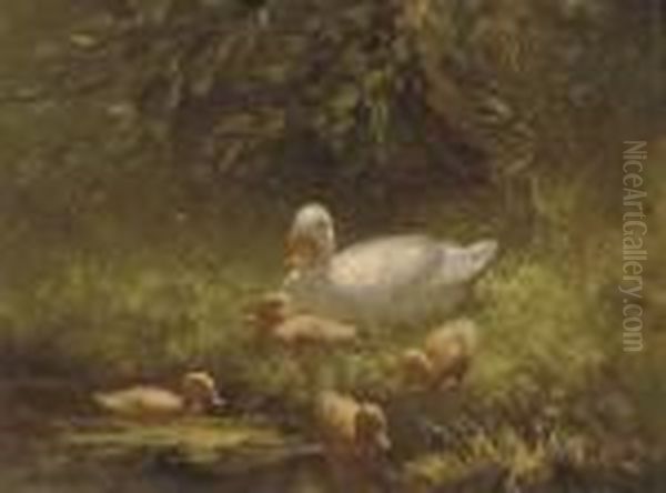 Mother Duck And Her Ducklings Oil Painting by David Adolf Constant Artz