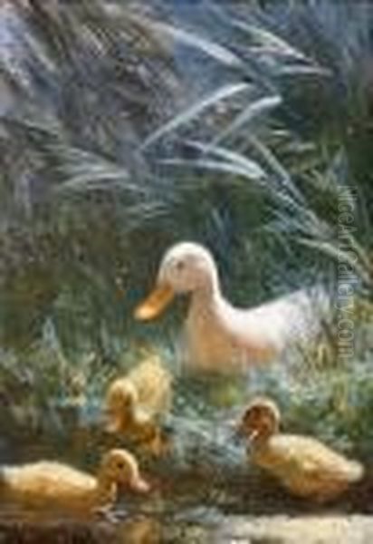 Entenmutter Mit Drei Kuken Am Ufer Eines Teiches Oil Painting by David Adolf Constant Artz
