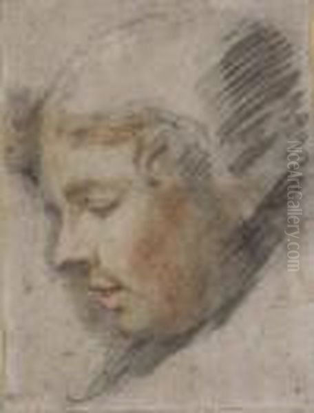 Head Of A Youth In A Black Cap, In Profile To The Left Oil Painting by Federico Fiori Barocci