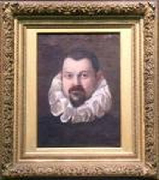 Portrait Of A Gentleman With A White Ruff Oil Painting by Federico Fiori Barocci