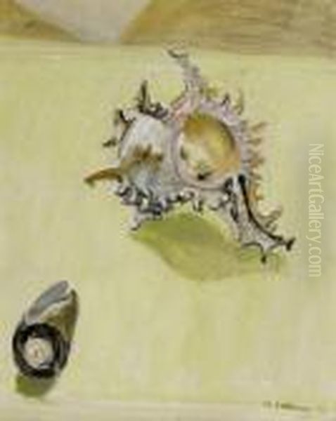 Nature Morte Aux Coquillages (