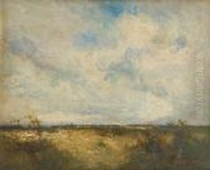 Vue De Campine