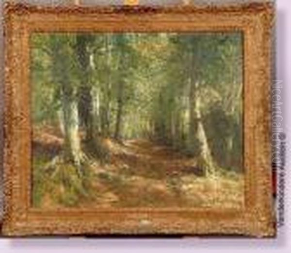 Chemin En Foret Oil Painting by Alfred Bastien