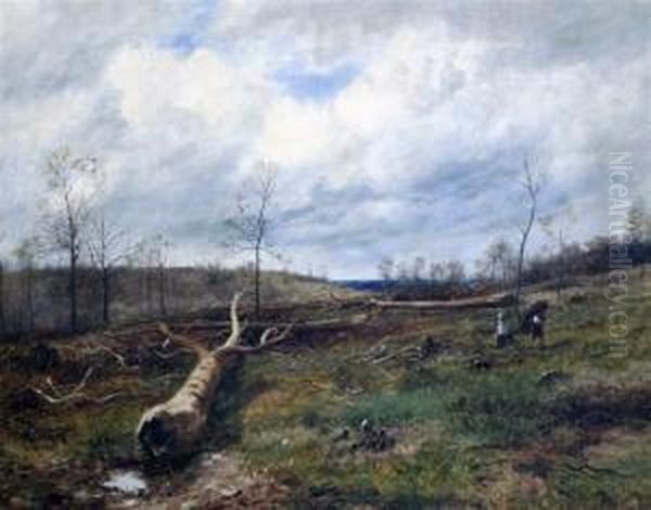 A Clearing, Malvern Oil Painting by David Bates