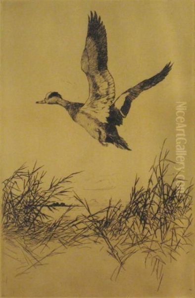 Wedgeon Rising Oil Painting by Frank Weston Benson