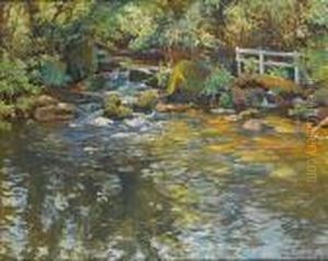 Salmon River