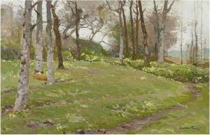 Sunlit Woodland