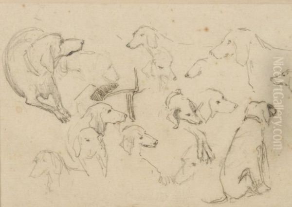 Feuille D'etude De Chiens De Meute Oil Painting by Rosa Bonheur