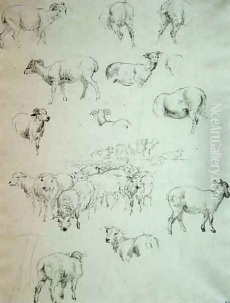 Flock of Sheep Oil Painting by Robert Hills