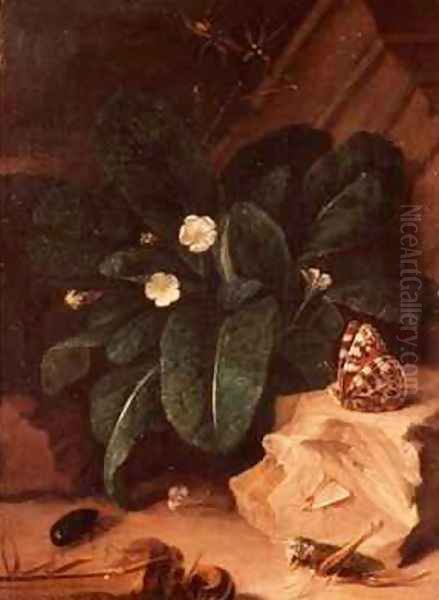 Still Life with Primroses and Insects Oil Painting by Carl Wilhelm de Hamilton