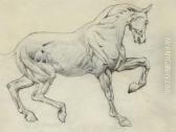 Ecorche Figure Of A Horse Oil Painting by Sir Edward Coley Burne-Jones
