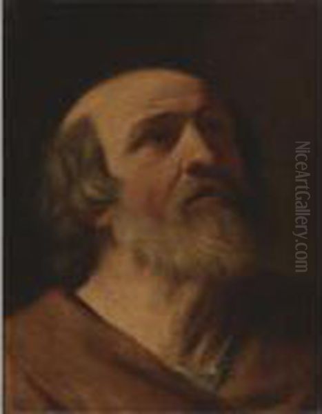 Head Of A Man Oil Painting by Simone Cantarini (Pesarese)
