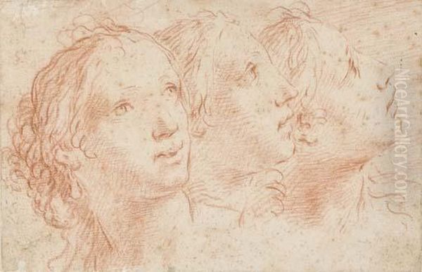 Les Tetes De Trois Femmes Regardant Vers La Droite Oil Painting by Simone Cantarini (Pesarese)