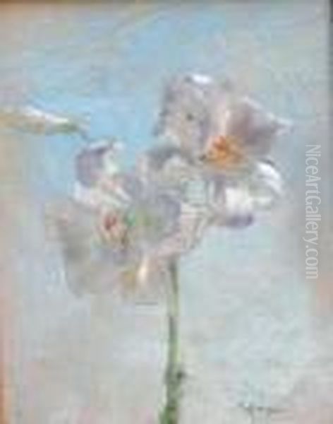 Iris Oil Painting by Giuseppe Casciaro