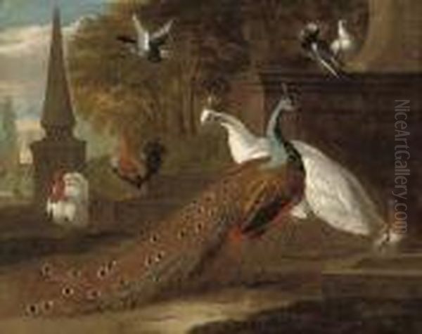 A Peacock, A Peahen, A Turkey, A Cockeral And Pigeons In Aclassical Landscape Oil Painting by Pieter III Casteels