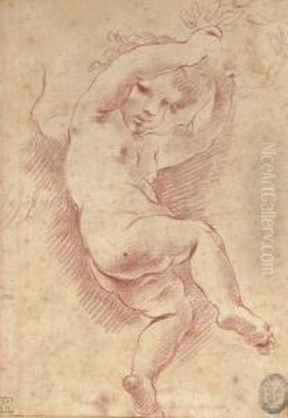 A Flying Putto Holding A Crown Of Laurel Oil Painting by Carlo Cignani