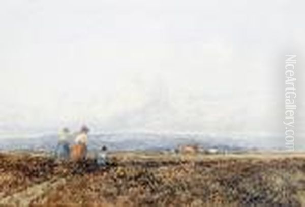Vale Of Clwyd Oil Painting by David I Cox