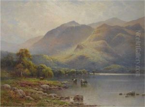 Cattle In A Loch