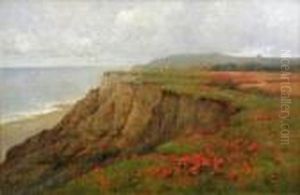 Poppyland