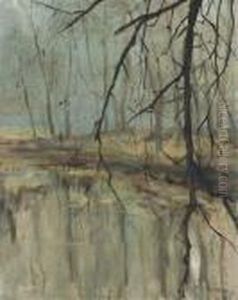 Paysage A L'etang