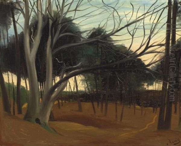 Sous-bois Aux Lecques Oil Painting by Andre Derain