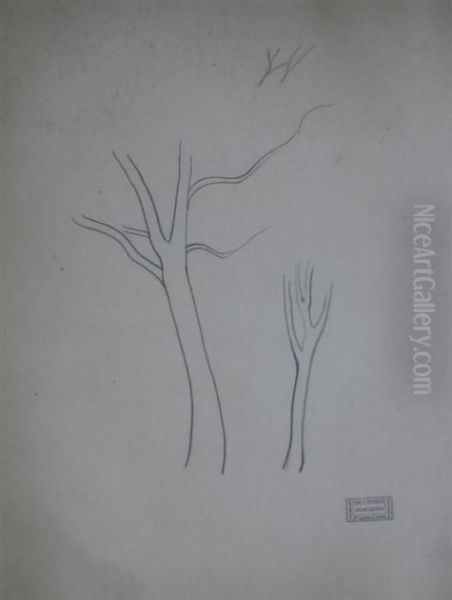Study Of Trees Vente S.knaublich Stamp Oil Painting by Andre Derain