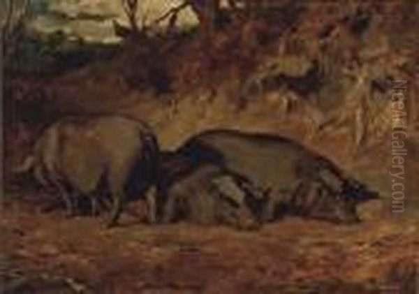 Pigs In A Wood Oil Painting by John Emms