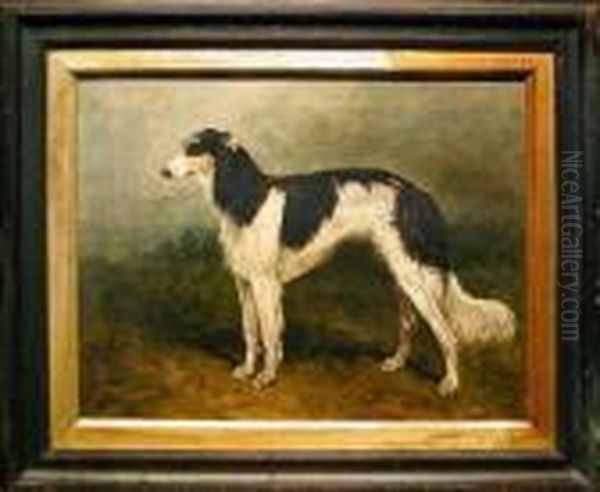 Borzoi In A Landscape Oil Painting by John Emms