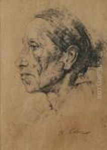 Portrait Of An Indian Woman