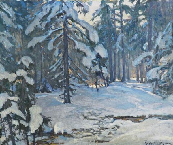Snieg Oil Painting by Stefan Filipkiewicz