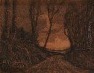 Strada Di Campagna