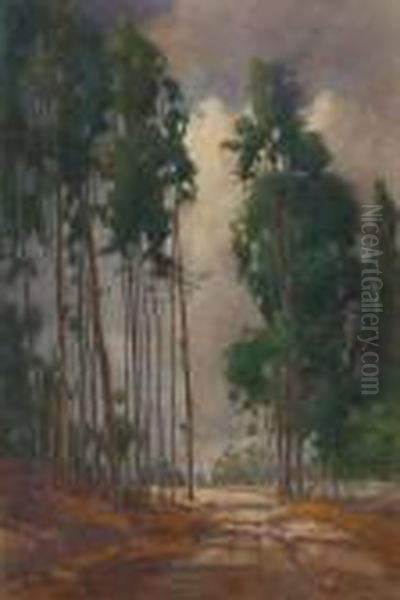 Path Through The Eucalyptus Oil Painting by Percy Gray
