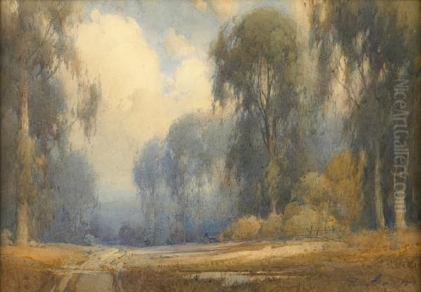 Road Through A Eucalyptus Grove Oil Painting by Percy Gray