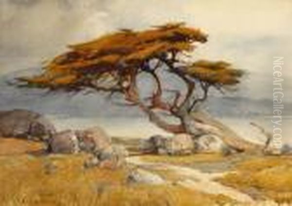 Cypress Tree Oil Painting by Percy Gray