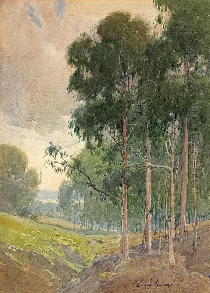 Eucalyptus By A Shallow Ravine Oil Painting by Percy Gray