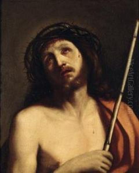 Ecce Homo Oil Painting by Guercino